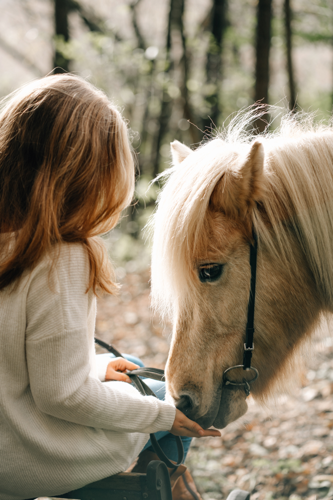 Portraitshooting zeigt Frau mit Pferd im Allgäu durch Fotografin fotografiert